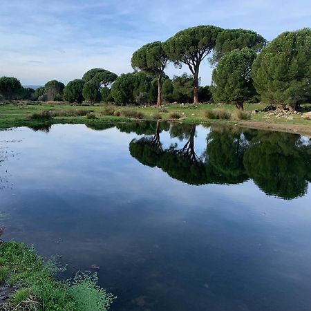 El Refugio De Felix Villa Sotillo de la Adrada Dış mekan fotoğraf