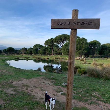 El Refugio De Felix Villa Sotillo de la Adrada Dış mekan fotoğraf