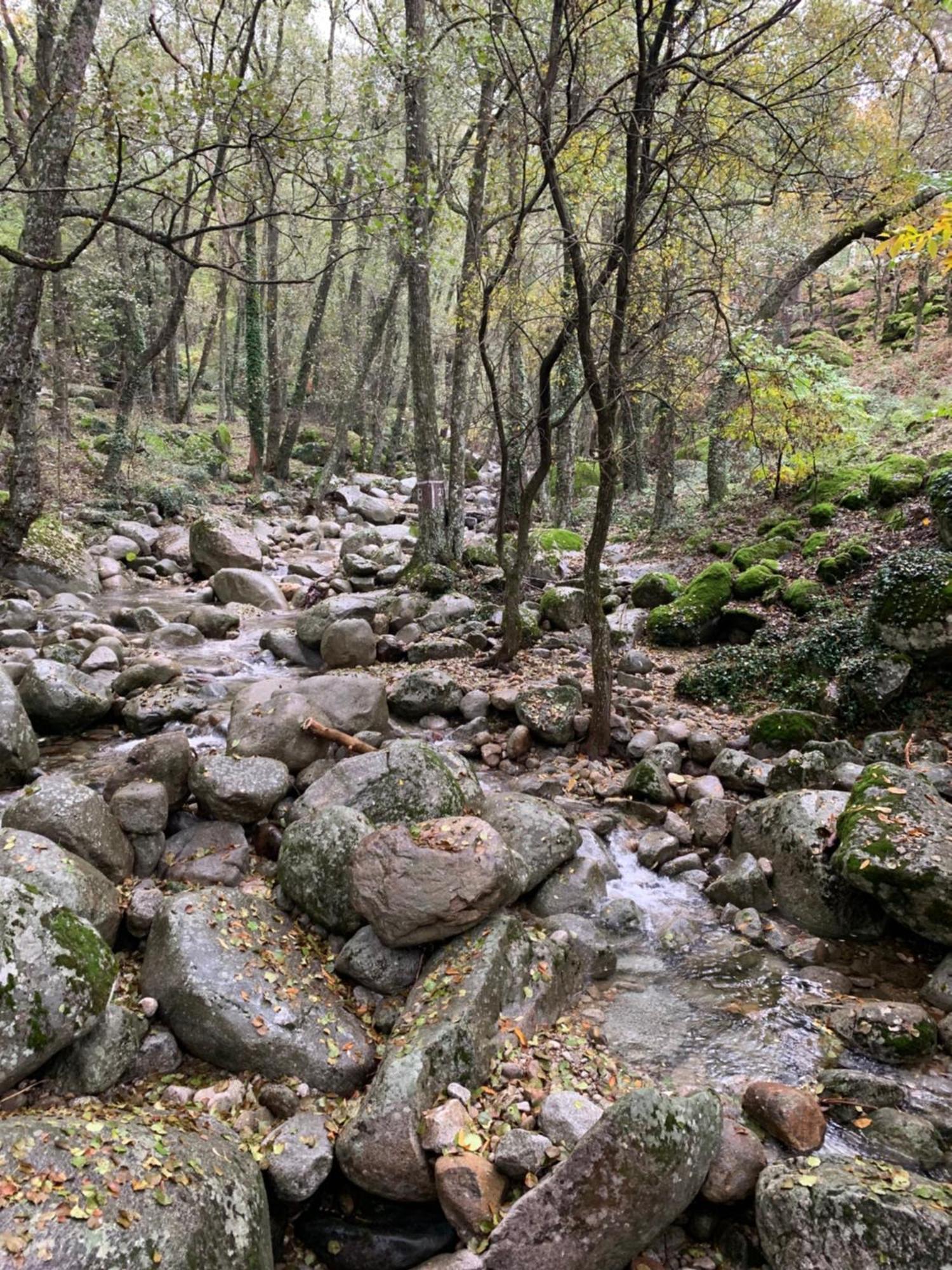 El Refugio De Felix Villa Sotillo de la Adrada Dış mekan fotoğraf