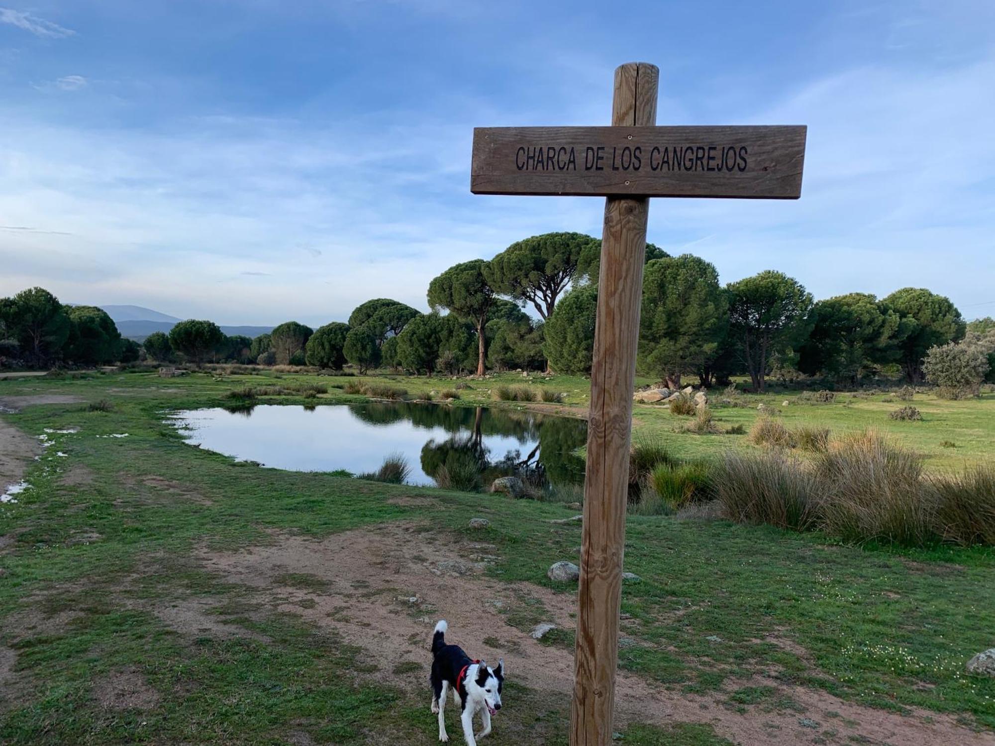 El Refugio De Felix Villa Sotillo de la Adrada Dış mekan fotoğraf